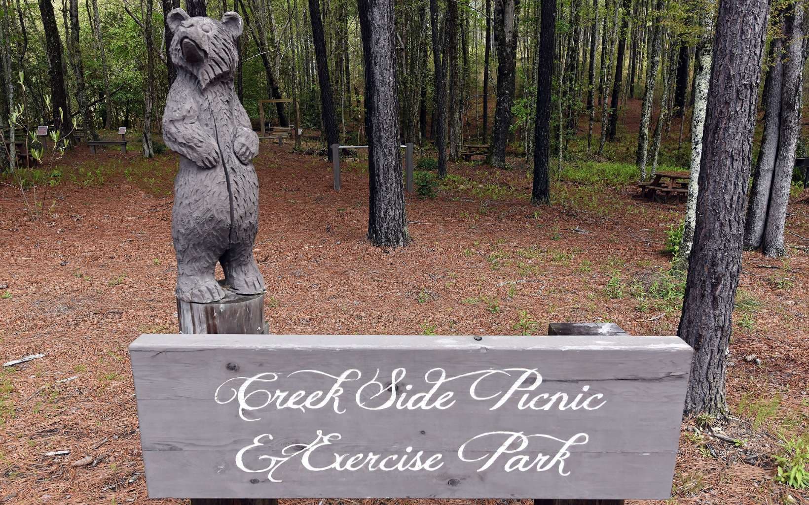LT 62 Ridge Peak View, Blairsville GA 30512 - Photo