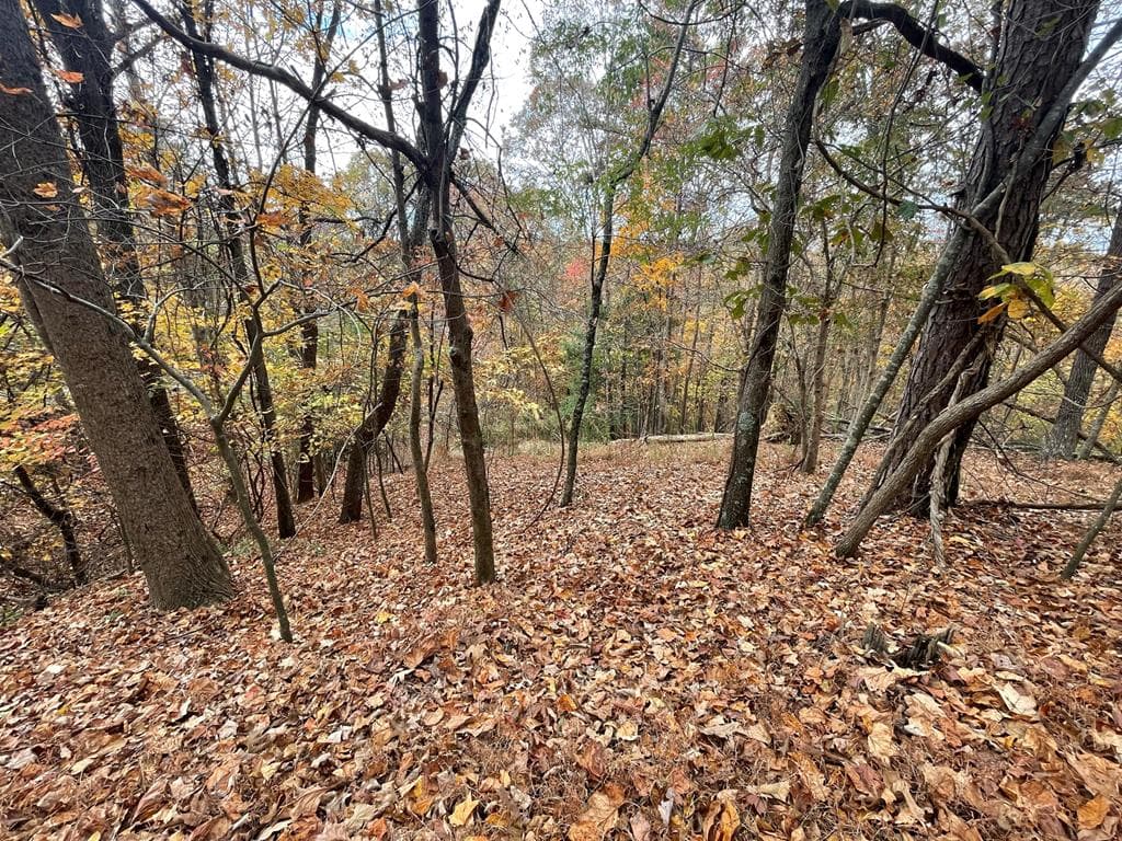 Lot 468 Cherokee Court, Ellijay GA 30540 - Photo