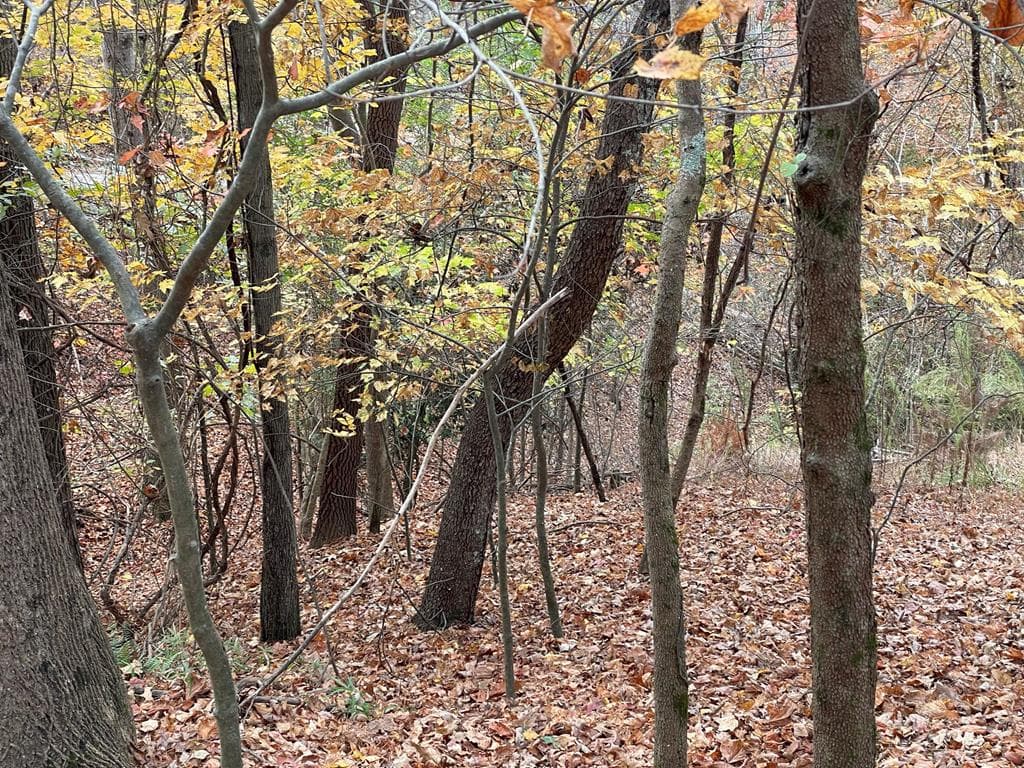 Lot 468 Cherokee Court, Ellijay GA 30540 - Photo