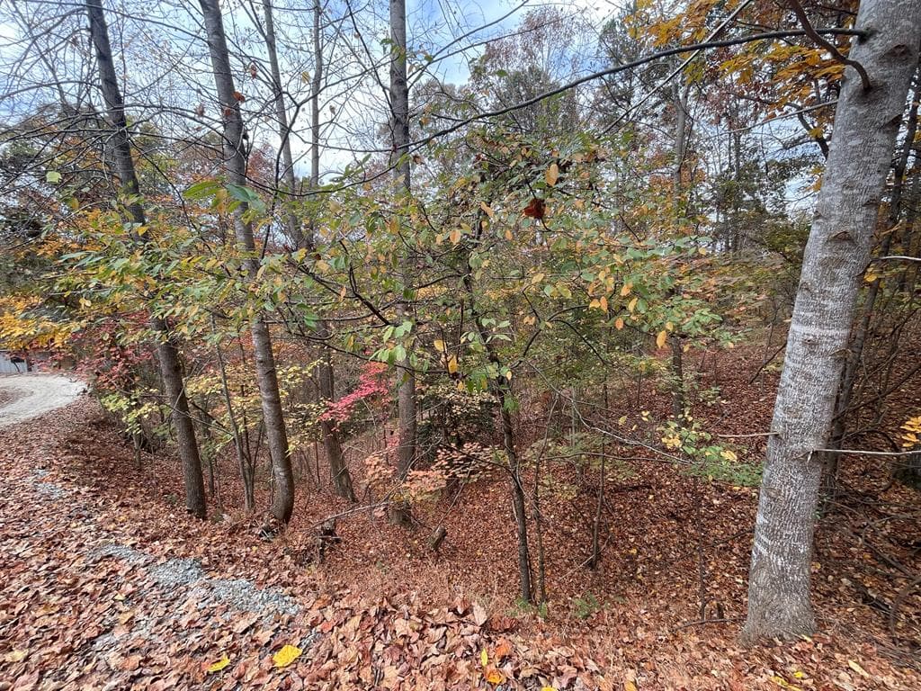 Lot 468 Cherokee Court, Ellijay GA 30540 - Photo