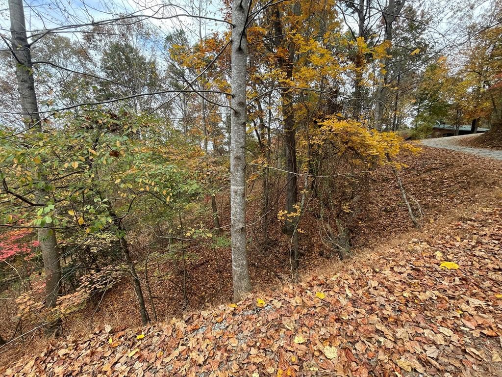 Lot 468 Cherokee Court, Ellijay GA 30540 - Photo