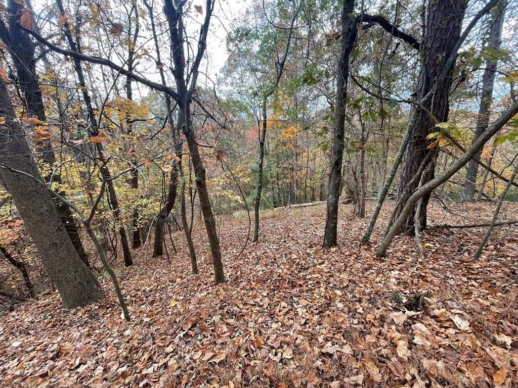 Lot 468 Cherokee Court, Ellijay GA 30540 - Primary photo