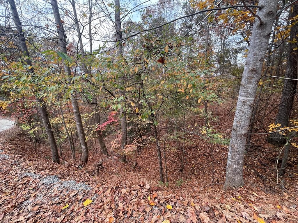 Lot 468 Cherokee Court, Ellijay GA 30540 - Photo
