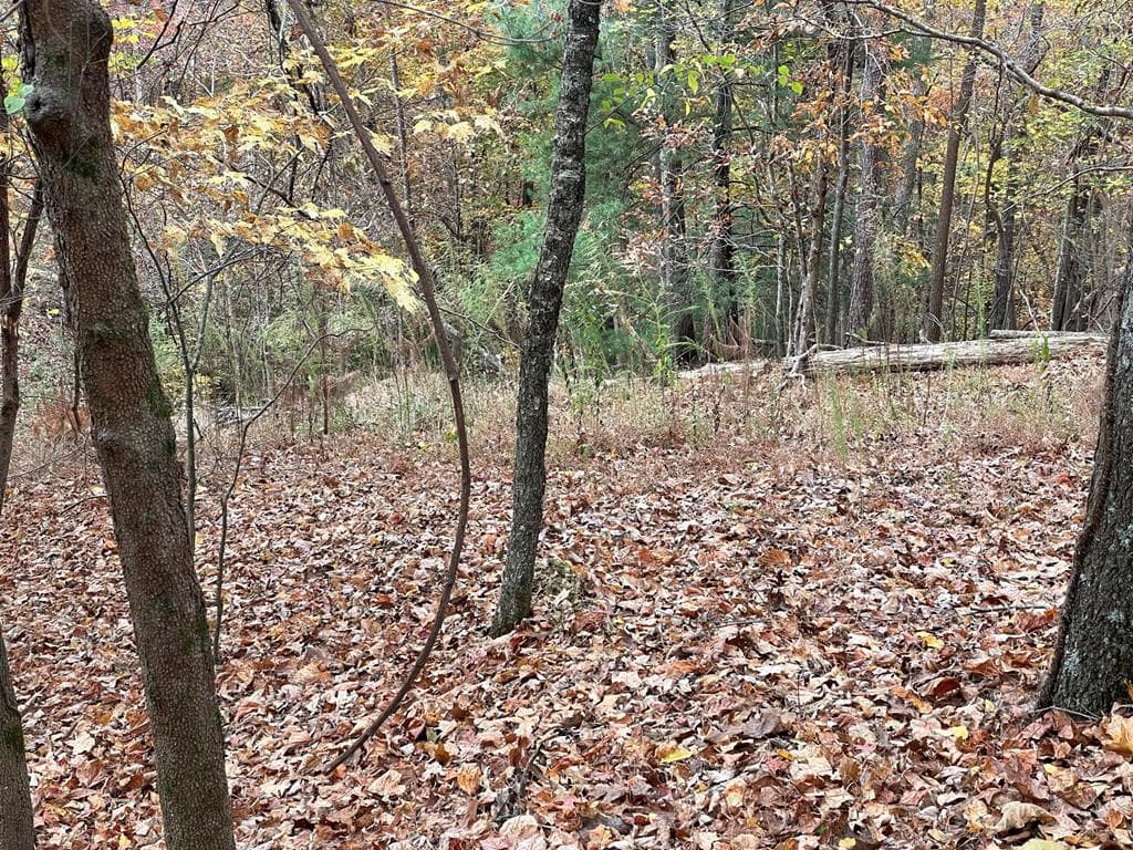 Lot 468 Cherokee Court, Ellijay GA 30540 - Photo