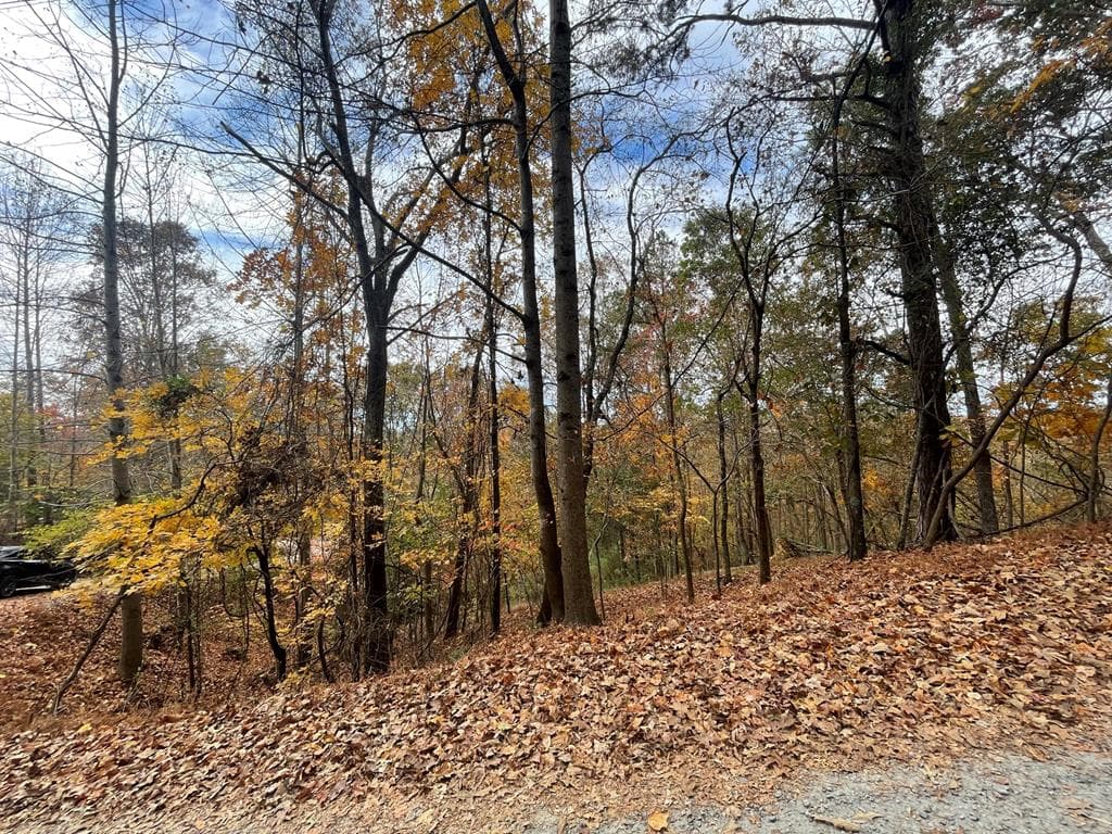 Lot 468 Cherokee Court, Ellijay GA 30540 - Photo