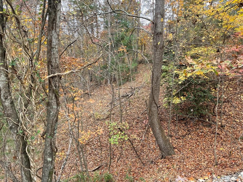 Lot 468 Cherokee Court, Ellijay GA 30540 - Photo