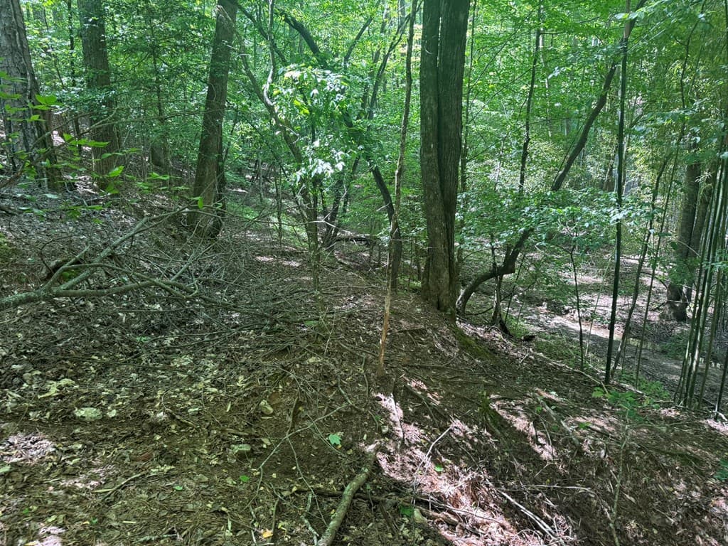 Lot 1721 Newport Drive, Ellijay GA 30540 - Photo