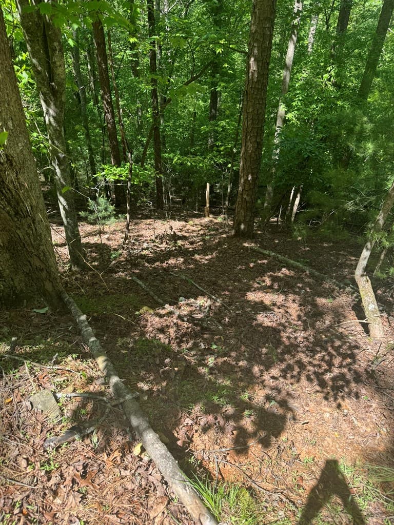 Lot 1721 Newport Drive, Ellijay GA 30540 - Photo