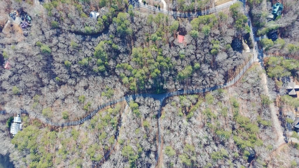 Lot 1721 Newport Drive, Ellijay GA 30540 - Photo