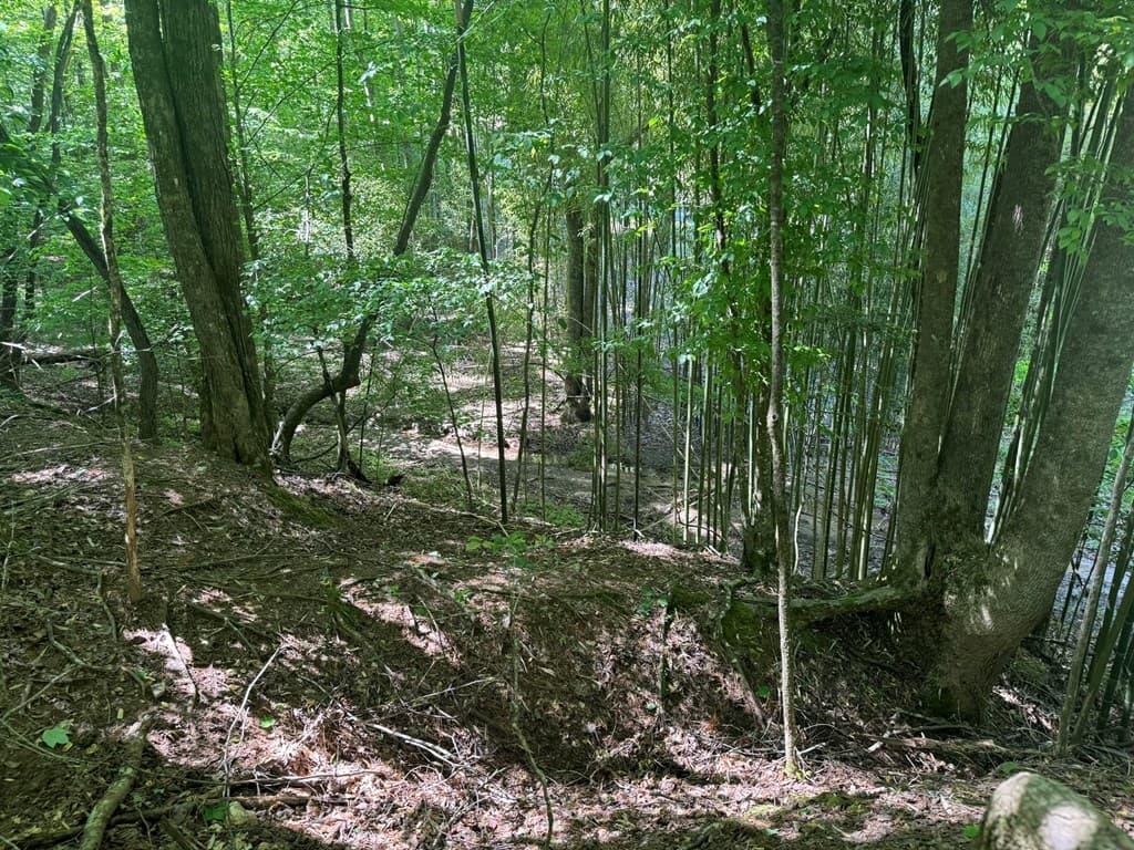 Lot 1721 Newport Drive, Ellijay GA 30540 - Photo