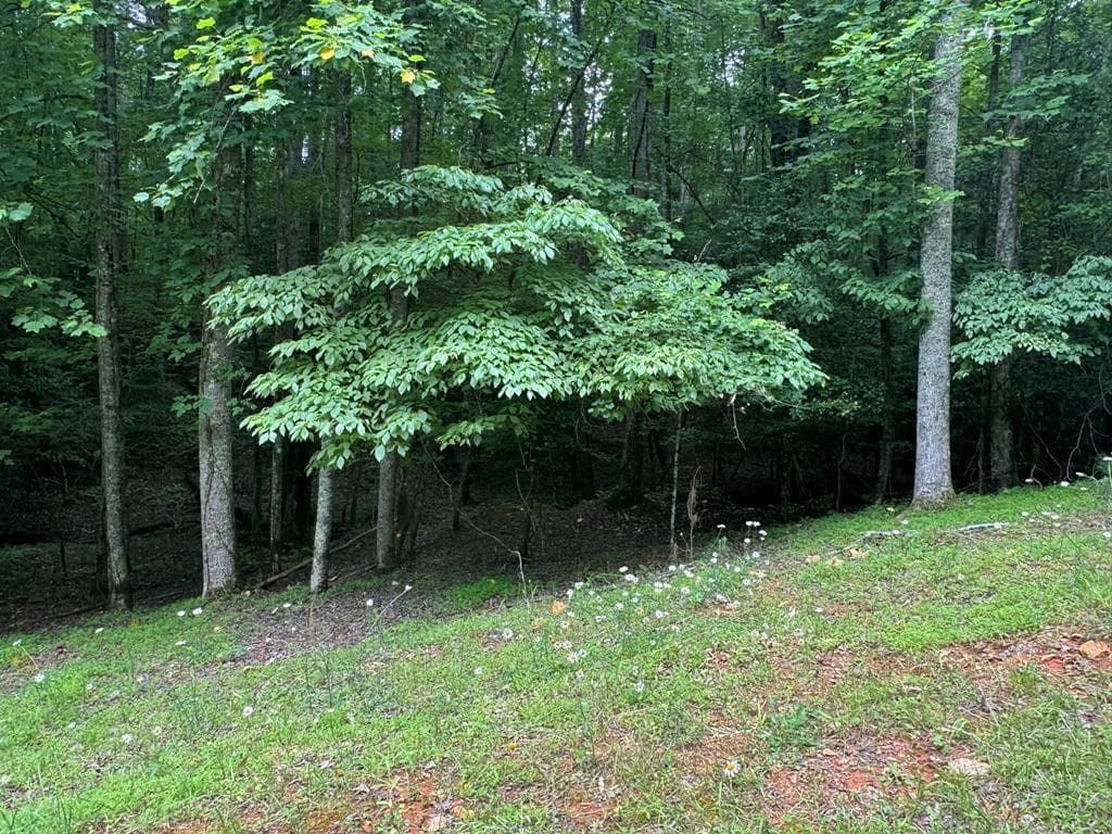 Lot 1721 Newport Drive, Ellijay GA 30540 - Primary photo