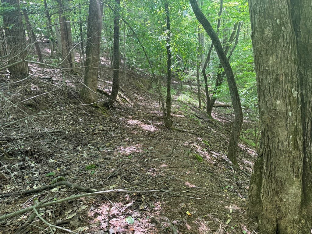 Lot 1721 Newport Drive, Ellijay GA 30540 - Photo