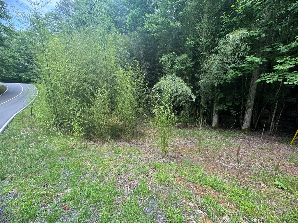 Lot 1721 Newport Drive, Ellijay GA 30540 - Photo