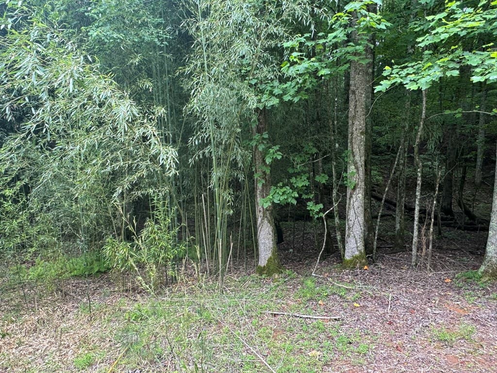 Lot 1721 Newport Drive, Ellijay GA 30540 - Photo