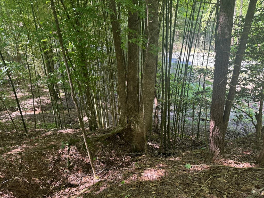 Lot 1721 Newport Drive, Ellijay GA 30540 - Photo