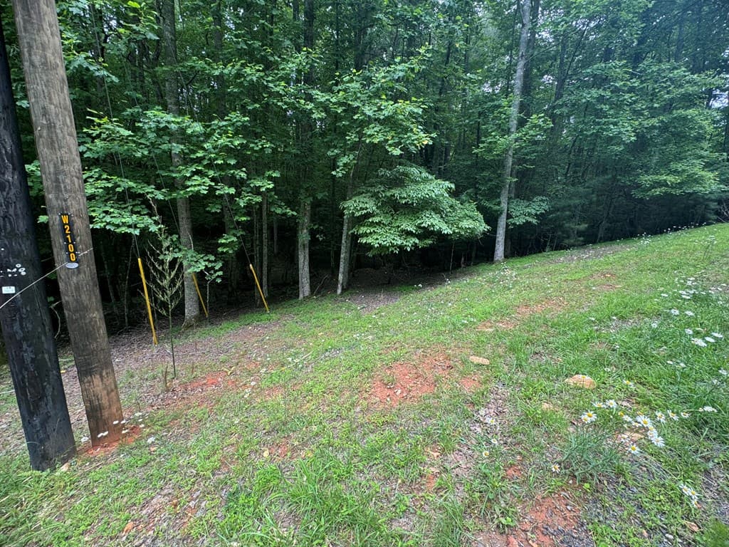 Lot 1721 Newport Drive, Ellijay GA 30540 - Photo