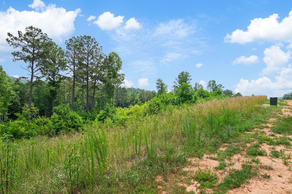 Lot 196 Oak Park Drive, Talking Rock GA 30175 - Photo