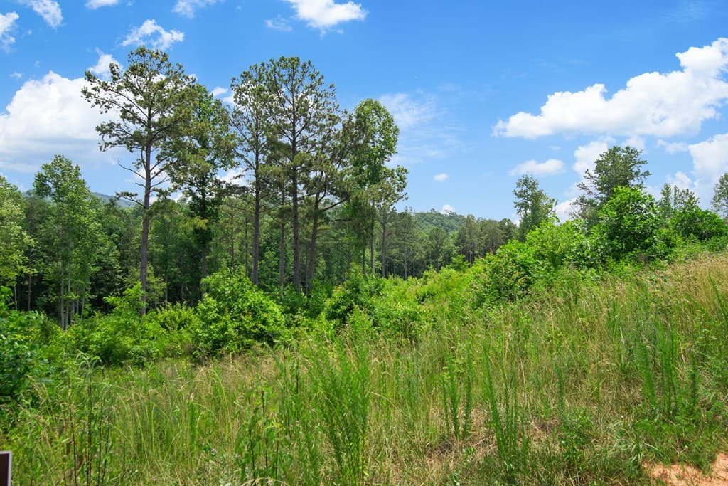 Lot 196 Oak Park Drive, Talking Rock GA 30175 - Photo