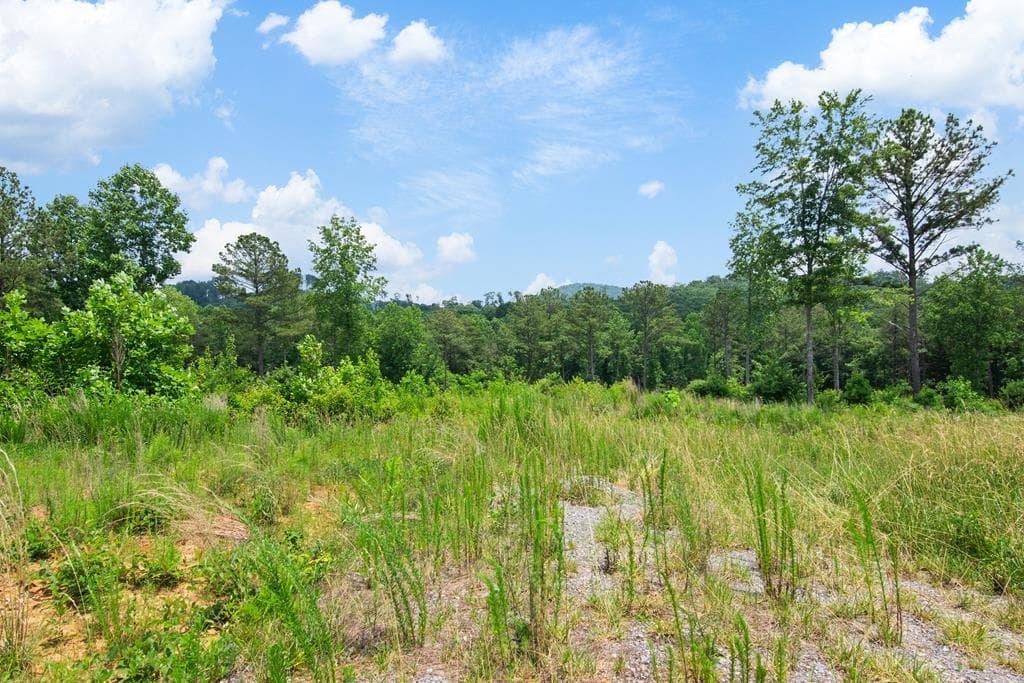 Lot 196 Oak Park Drive, Talking Rock GA 30175 - Primary photo