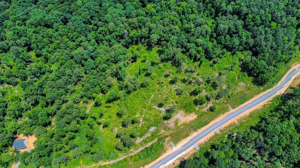 Lot 196 Oak Park Drive, Talking Rock GA 30175 - Photo