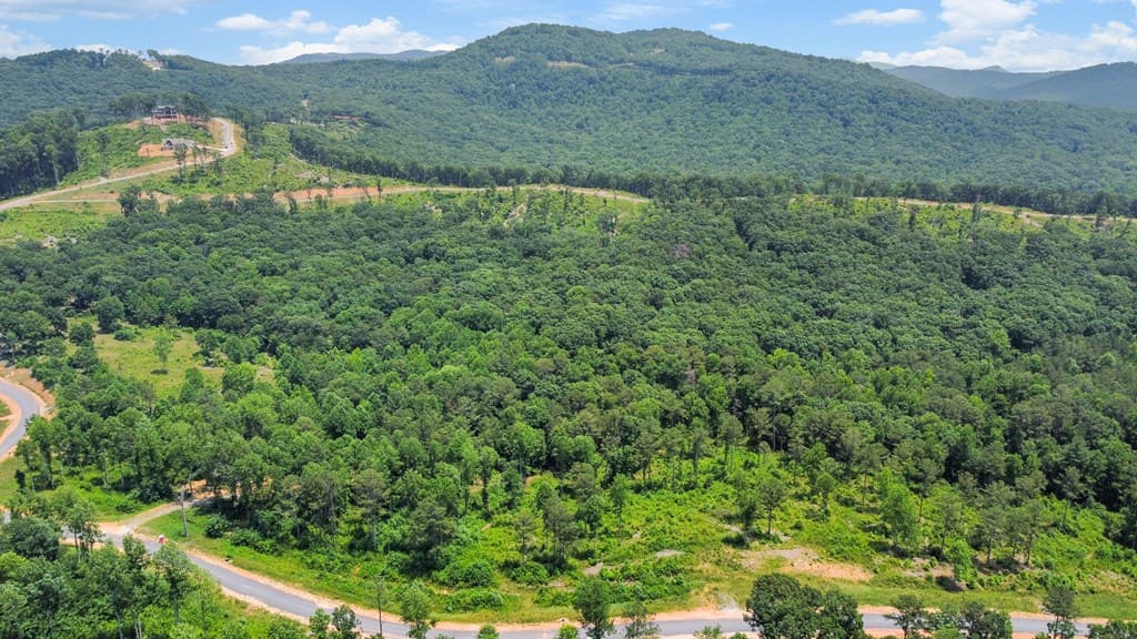 Lot 196 Oak Park Drive, Talking Rock GA 30175 - Photo