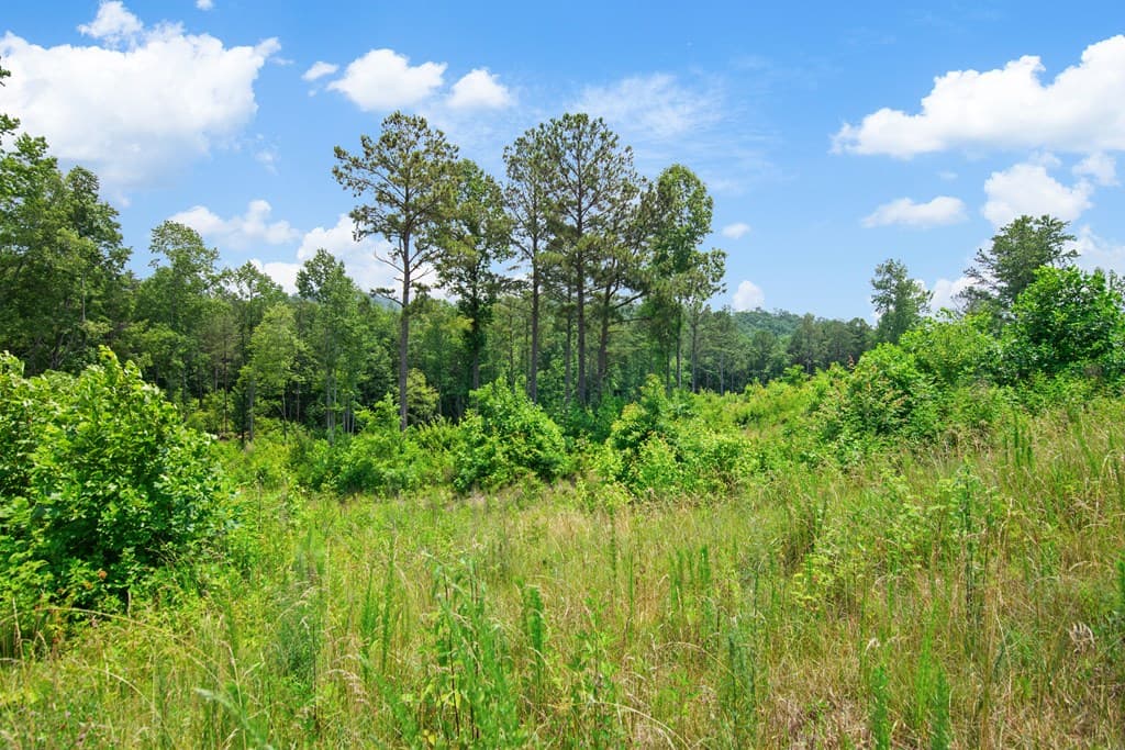 Lot 196 Oak Park Drive, Talking Rock GA 30175 - Photo