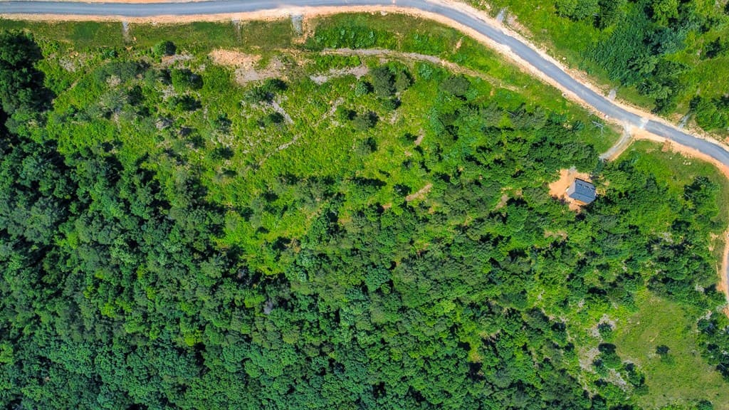 Lot 196 Oak Park Drive, Talking Rock GA 30175 - Photo
