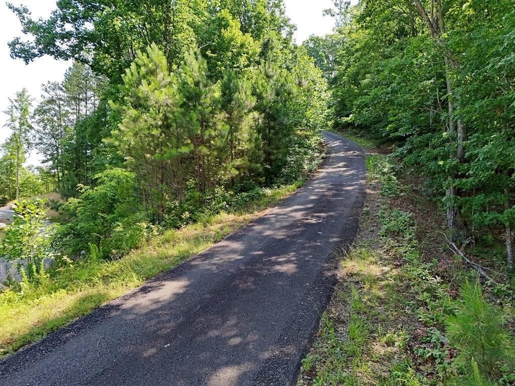 Lot 88 Thirteen Hundred, Blairsville GA 30512 - Photo