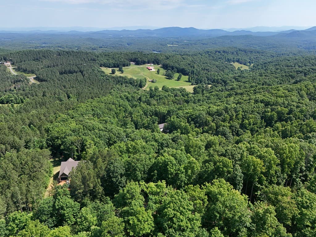 Lot 88 Thirteen Hundred, Blairsville GA 30512 - Photo