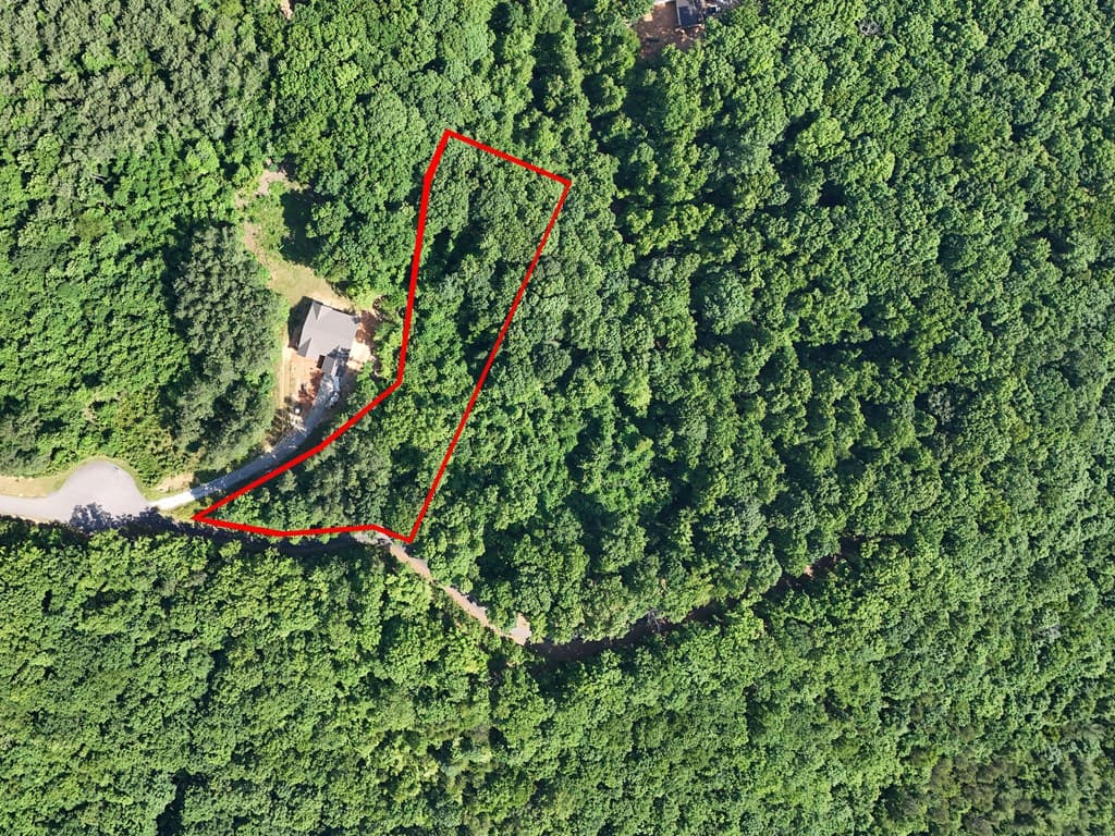 Lot 88 Thirteen Hundred, Blairsville GA 30512 - Photo