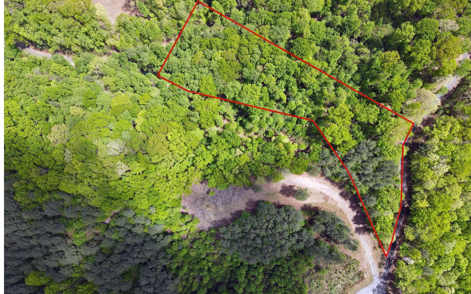 Lot 88 Thirteen Hundred, Blairsville GA 30512 - Photo