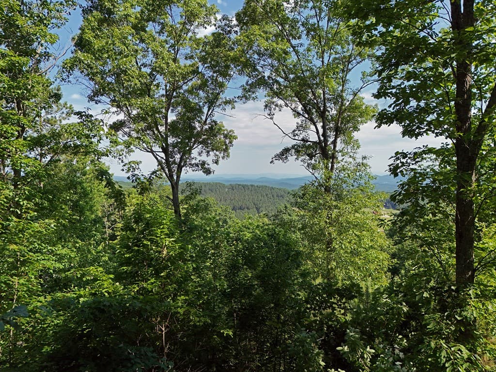 Lot 88 Thirteen Hundred, Blairsville GA 30512 - Photo