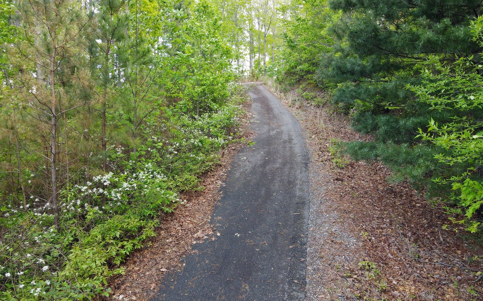 Lot 88 Thirteen Hundred, Blairsville GA 30512 - Photo