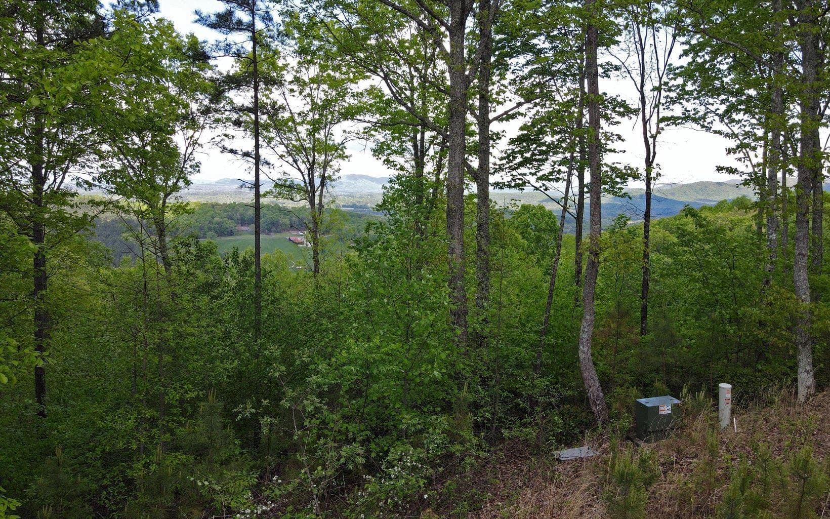 Lot 88 Thirteen Hundred, Blairsville GA 30512 - Photo