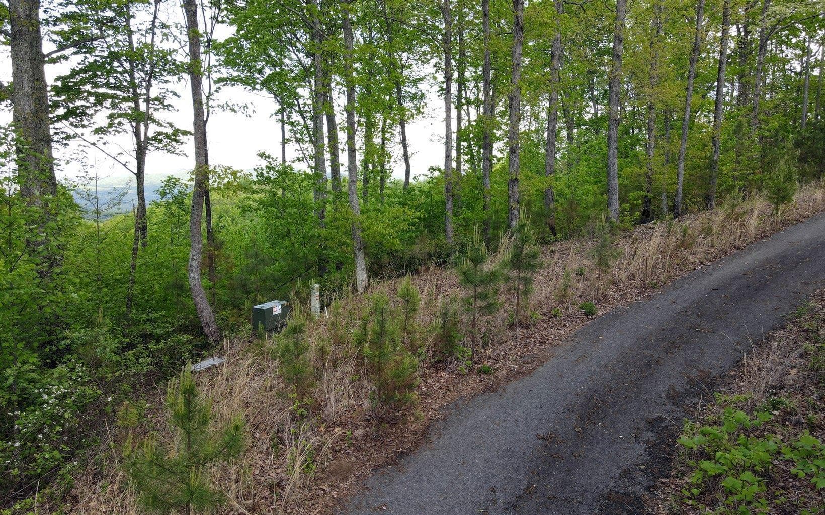 Lot 88 Thirteen Hundred, Blairsville GA 30512 - Primary photo