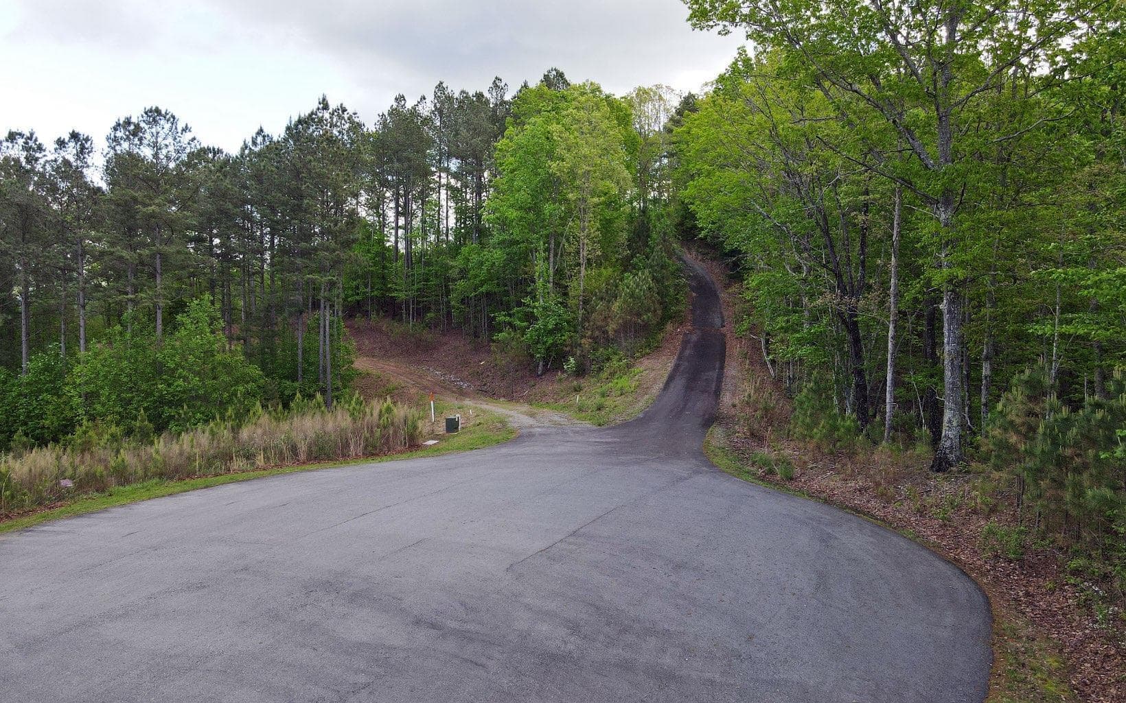 Lot 88 Thirteen Hundred, Blairsville GA 30512 - Photo