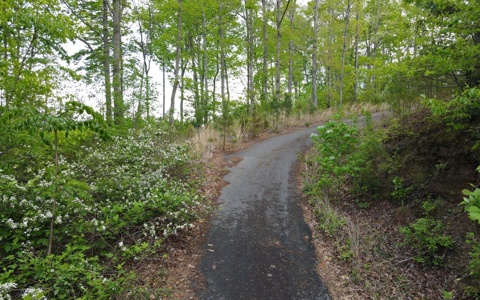 Lot 88 Thirteen Hundred, Blairsville GA 30512 - Photo