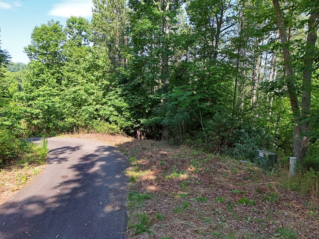 Lot 88 Thirteen Hundred, Blairsville GA 30512 - Photo