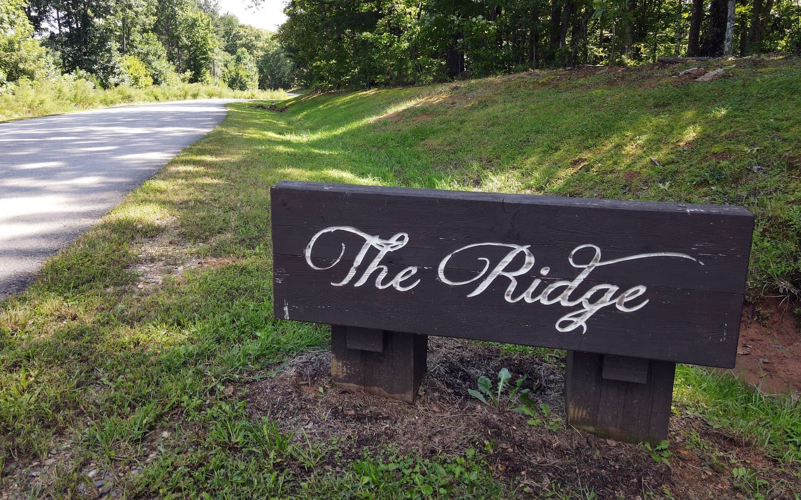 Lot 88 Thirteen Hundred, Blairsville GA 30512 - Photo