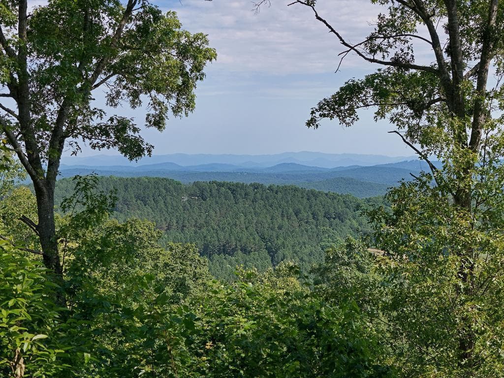 Lot 88 Thirteen Hundred, Blairsville GA 30512 - Photo
