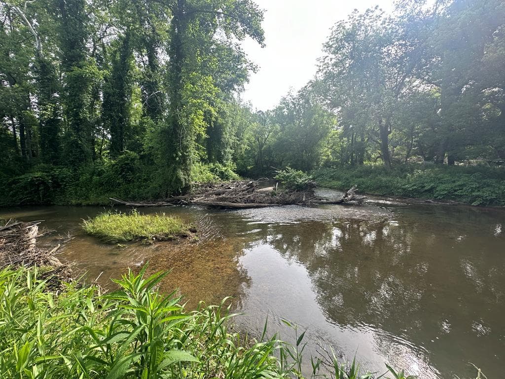 Lot 53 Brasstown Trails, Warne NC 28909 - Photo