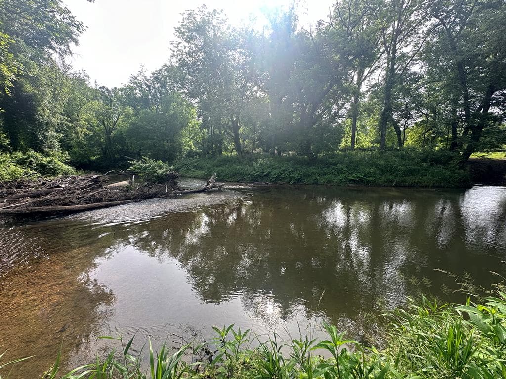 Lot 53 Brasstown Trails, Warne NC 28909 - Photo