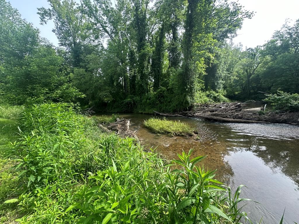 Lot 53 Brasstown Trails, Warne NC 28909 - Photo