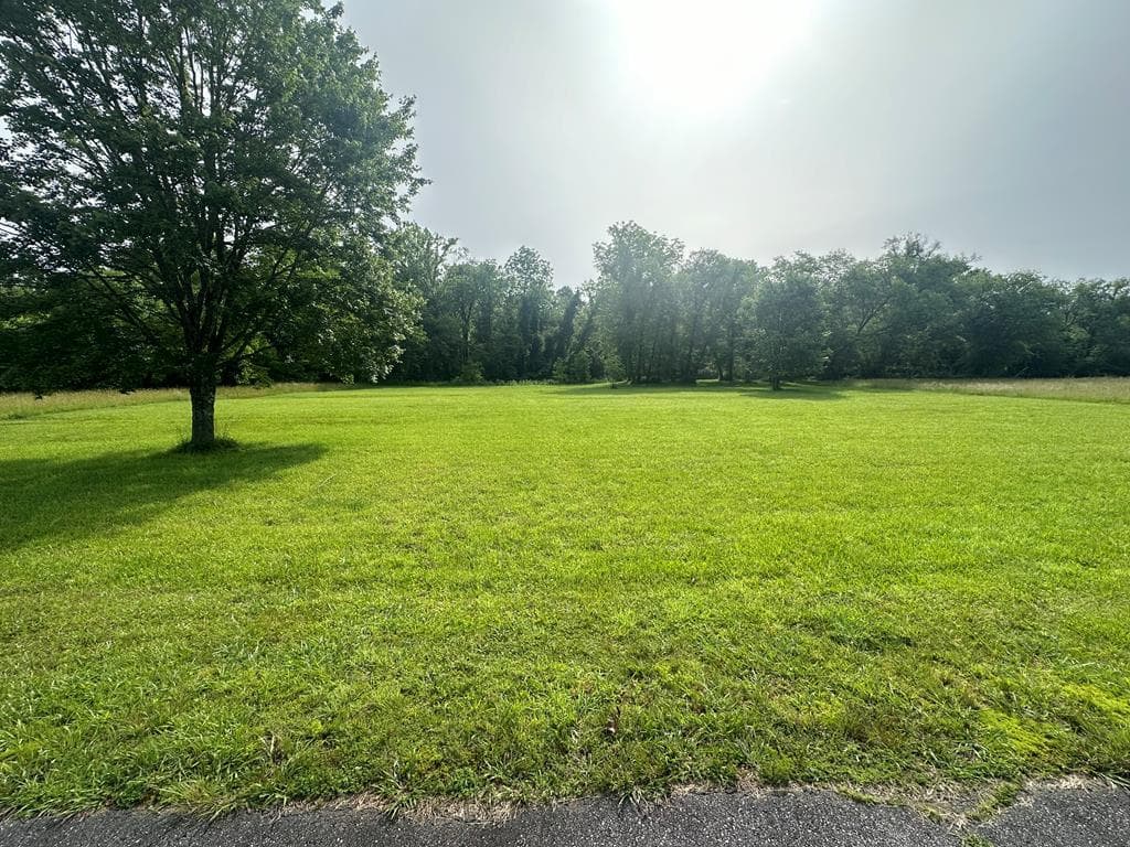 Lot 53 Brasstown Trails, Warne NC 28909 - Primary photo