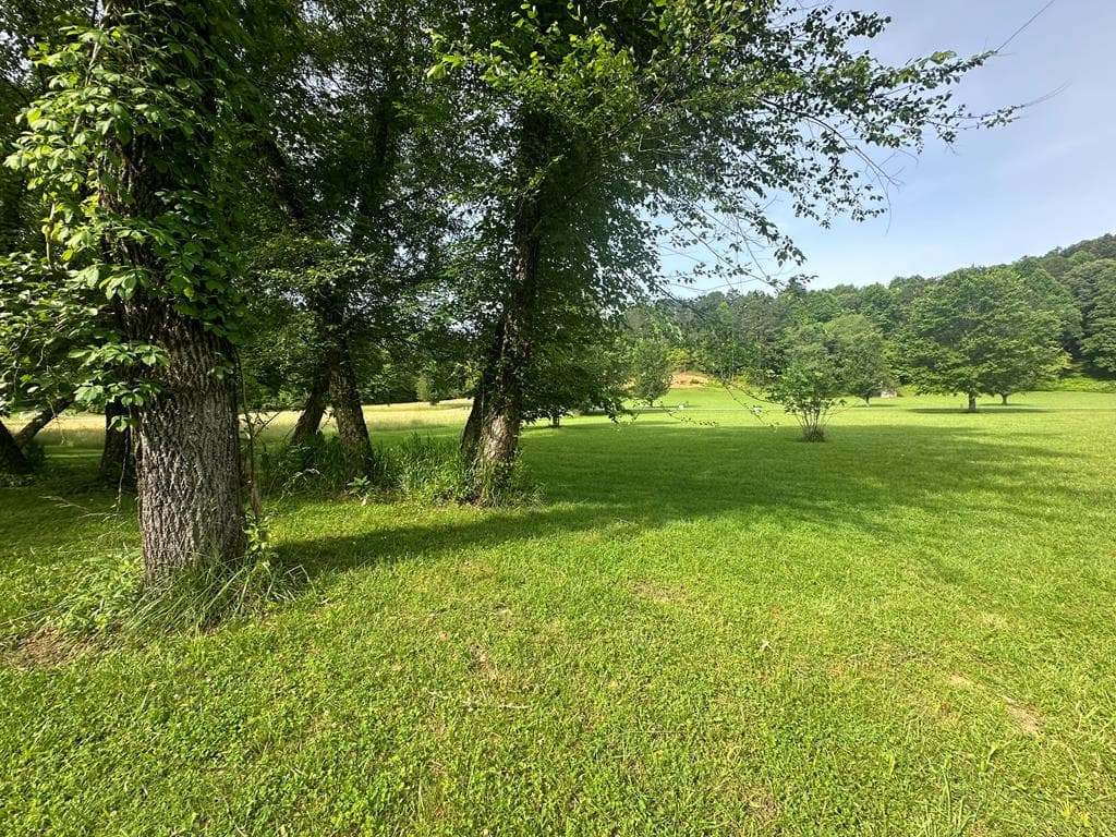 Lot 53 Brasstown Trails, Warne NC 28909 - Photo
