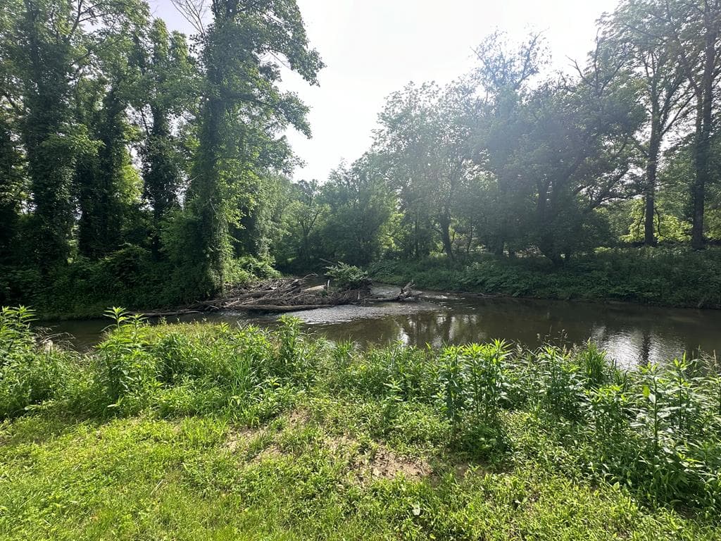 Lot 53 Brasstown Trails, Warne NC 28909 - Photo