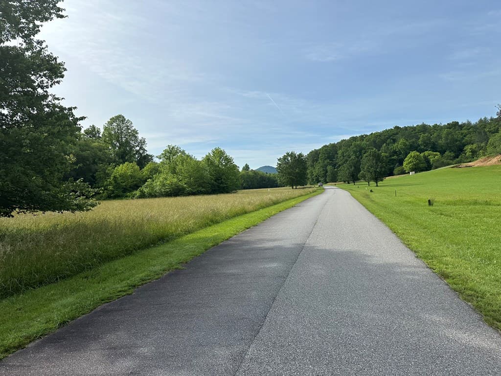 Lot 45 Brasstown Trails, Warne NC 28909 - Photo