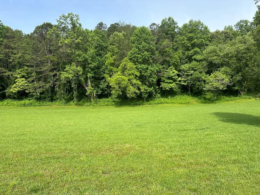 Lot 45 Brasstown Trails, Warne NC 28909 - Photo
