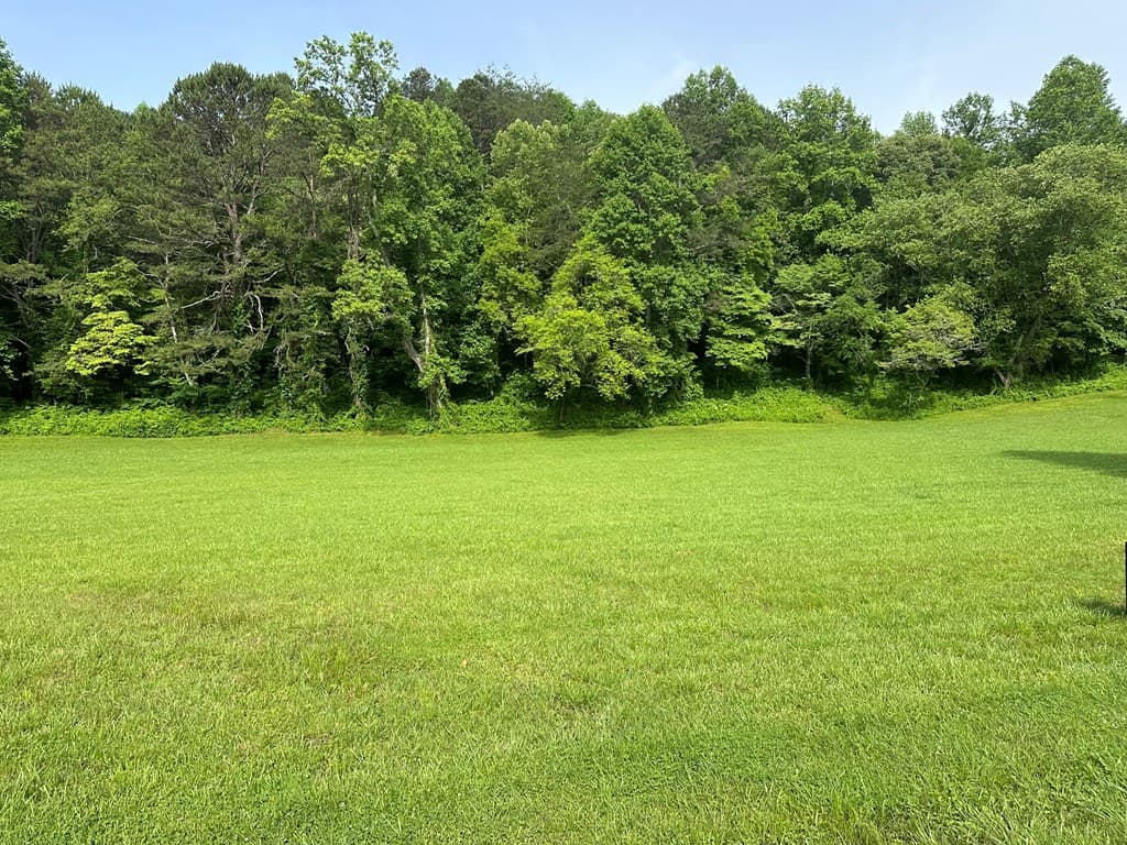 Lot 45 Brasstown Trails, Warne NC 28909 - Photo