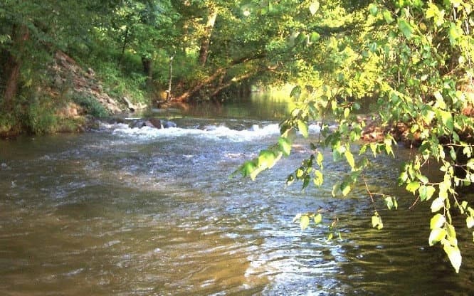 Lot 45 Brasstown Trails, Warne NC 28909 - Photo